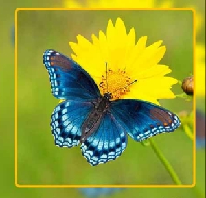 دانلود آهنگ کی واسه من مثل توئه